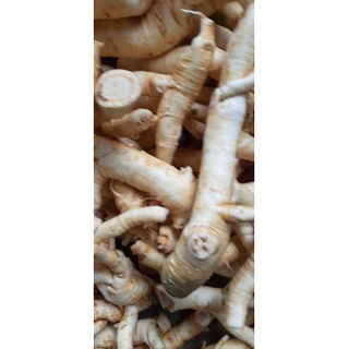 rễ đinh lăng nếp chọn