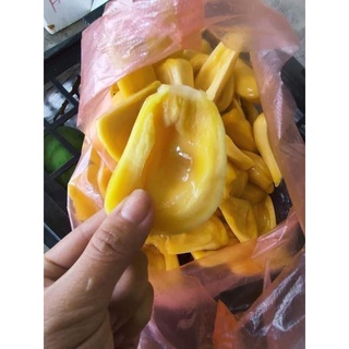 CÂY GIỐNG MÍT DAI MẬT ỐNG ( CHUẨN GIỐNG CÂY GHÉP)