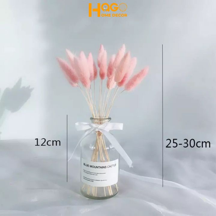 Hoa khô, lọ hoa thủy tinh kèm hoa đuôi thỏ,cỏ lau Mỹ cắm sẵn cao 25cm trang trí, decor nhà cửa