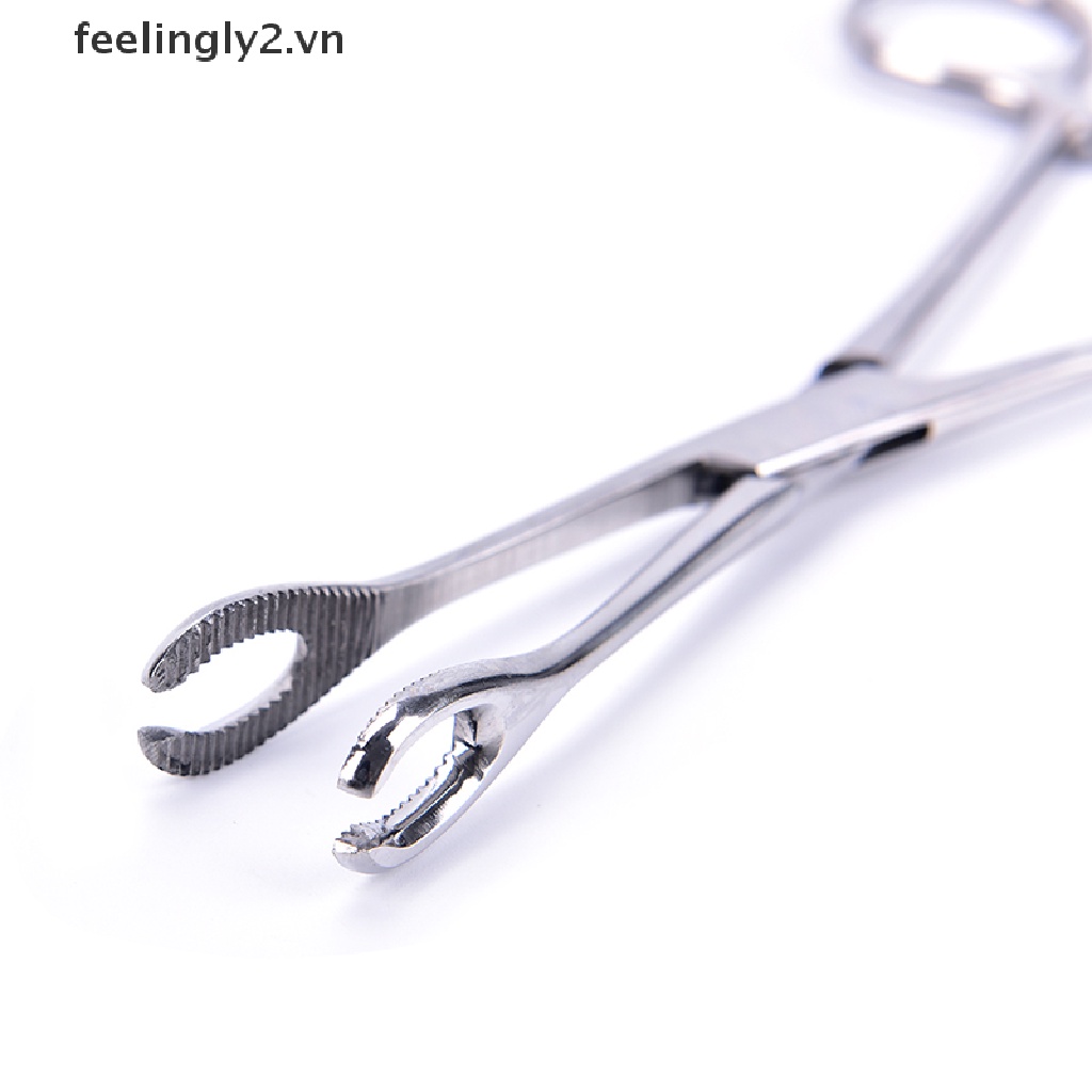 Khuyên Xỏ Cơ Thể Đặc Biệt