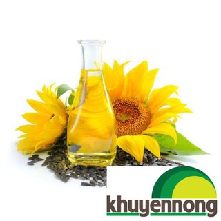 Hạt giống hoa hướng dương lùn 30 hạt