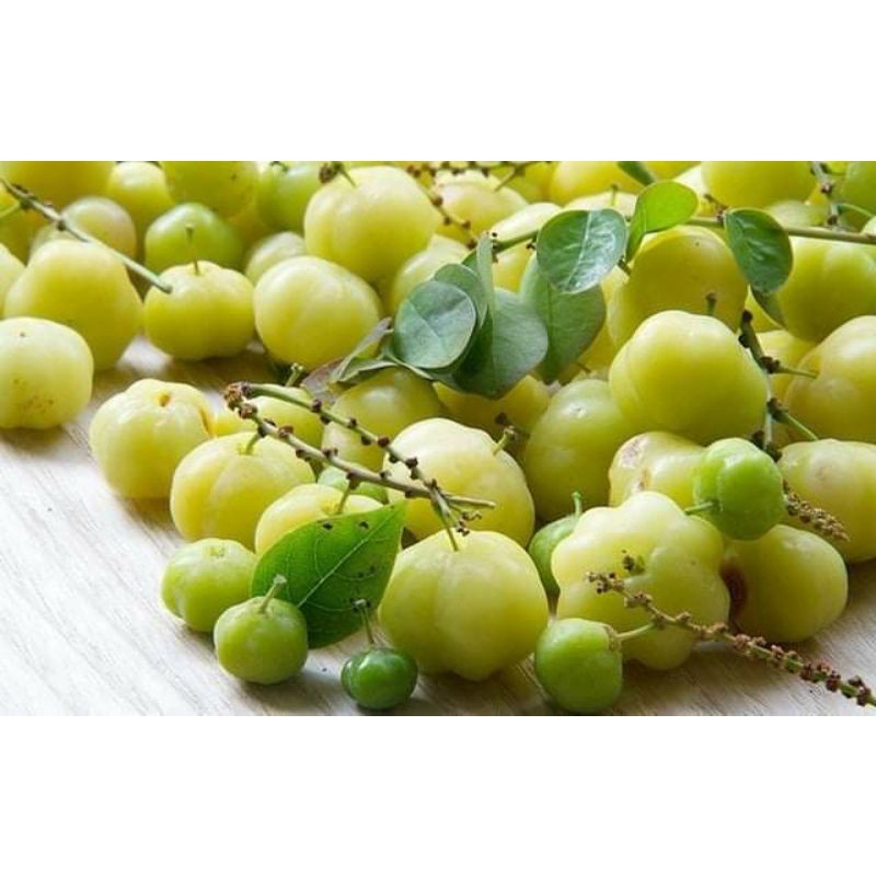 Chùm ruột thái....trái ngọt