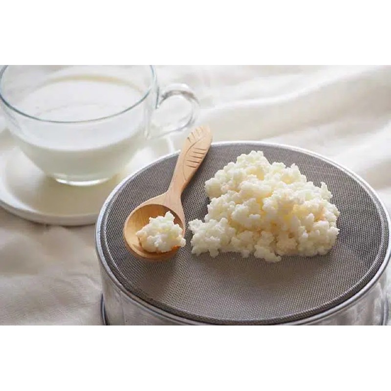 Rây lọc nấm Kefir, lọc trà, lọc cháo, rau củ