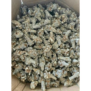 100g Bột tam thất Bắc(THẦN DƯỢC CHO TIÊU HOÁ,ĐẠI TRÀNG)