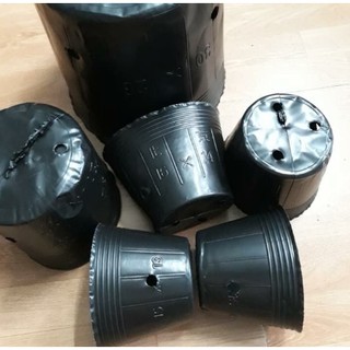 1 kg túi ươm cây, bầu ươm cây