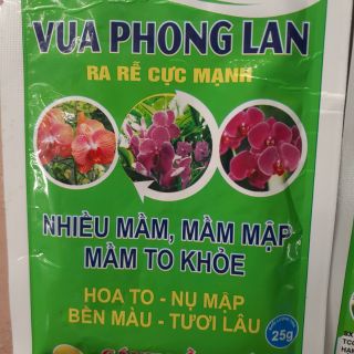 Vua phong lan_ ra rễ cực mạnh gói 25gr