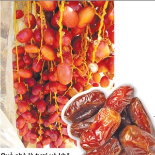 Chà là sấy Đubai