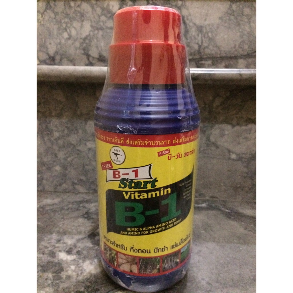 Vitamin B1 Thái Lan 1000ml