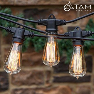 Bóng đèn Edison T64 Sợi tóc TTTM