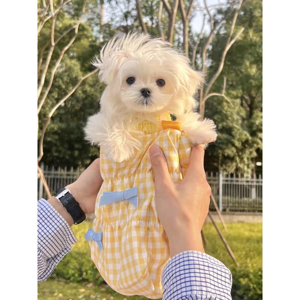 Túi Kẹp Nách / Đeo Vai Kẻ Sọc Màu Kem Dễ Thương Xinh Xắn Dành Cho Nữ