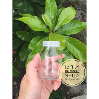 Lọ thủy tinh 50ml nút bần gỗ và nhựa