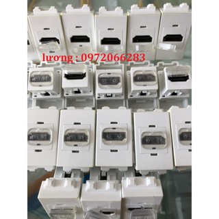 Nhân mạng âm tường hdmi nhân thẳng của panasonic