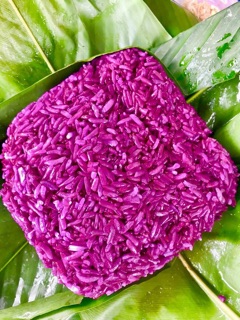 Cây cẩm tím giống