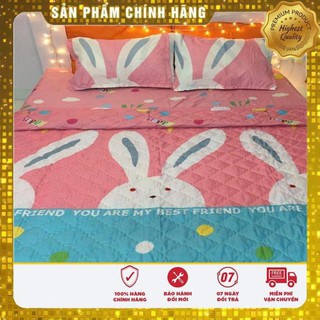 Bộ Drap 4 Món Ga Gối - 1m/m2/m4/m6/m8
