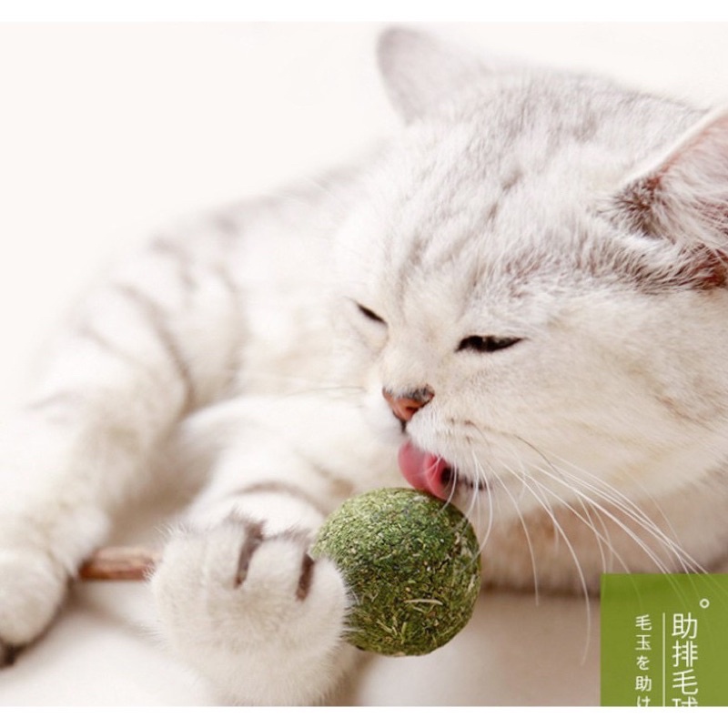 Kẹo Cỏ Mèo Catnip Masti cho boss mèo