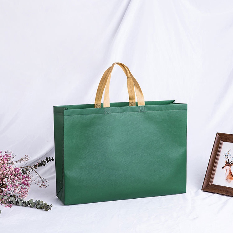 Túi Mua Sắm Bằng Vải Không Dệt Chống Thấm Nước Màu Trơn Nhỏ Gọn Hiệu AILICEGO