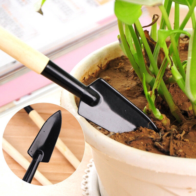 Set 3 Dụng Cụ Làm Vườn Mini Tiện Lợi