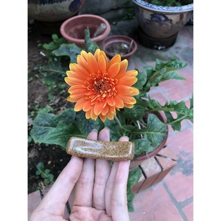 Gác Đũa men nâu gốm mộc mạc Bát Tràng