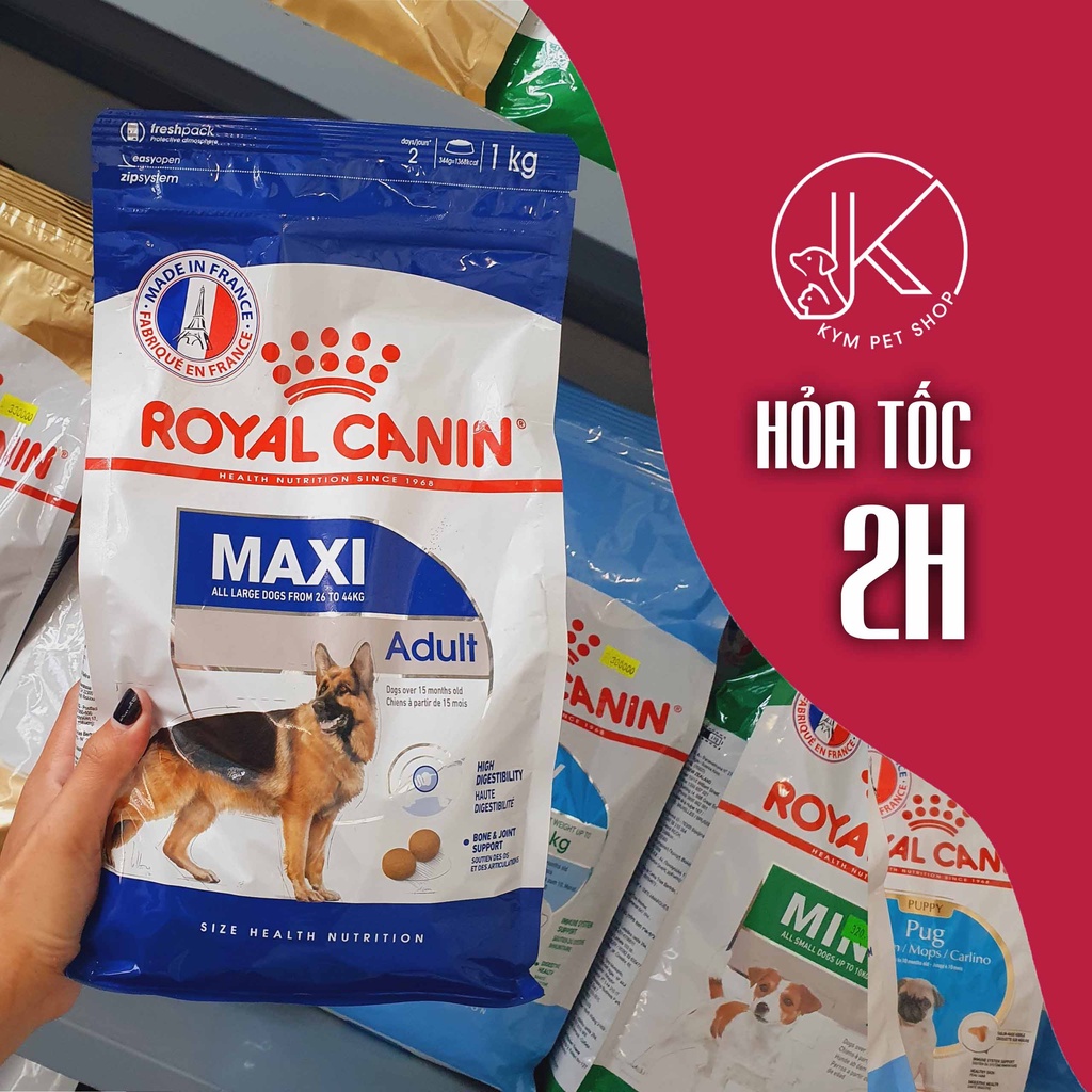 ROYAL CANIN MAXI - Thức ăn hạt khô cho chó kích cỡ Maxi (Cân nặng từ 26 - 44kg)