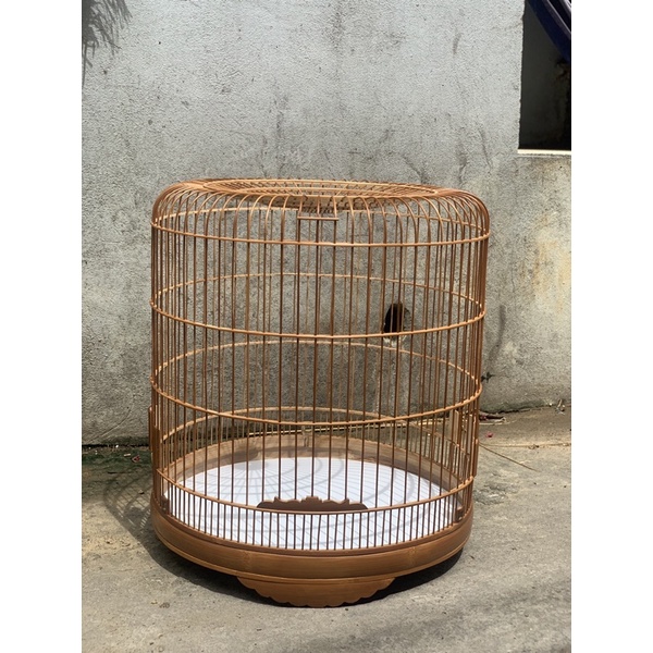Khung dựng lồng choè than