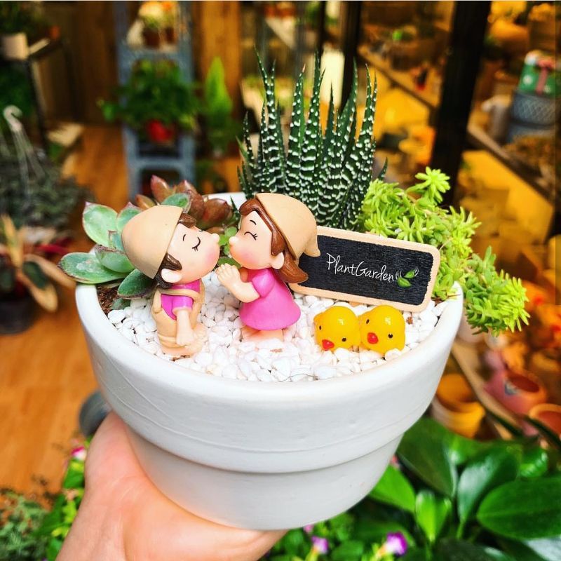Sen đá - Xương rồng mix tiểu cảnh