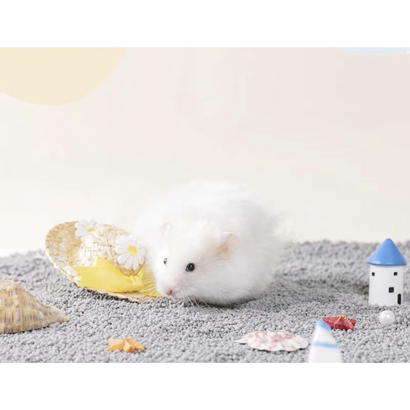 catsan liti Thái thấm hút tốt cho hamster 1kg