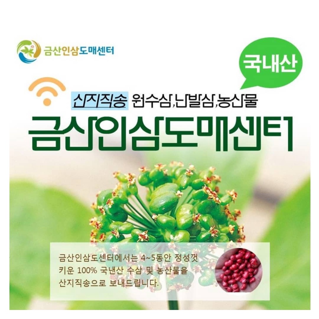 50 Hạt giống Nhân Sâm Hàn Quốc  0988 918 761