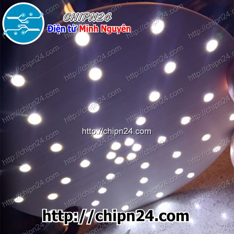 [10 CON] (TK1) Led 5mm Lùn TRẮNG (Tim Lớn)