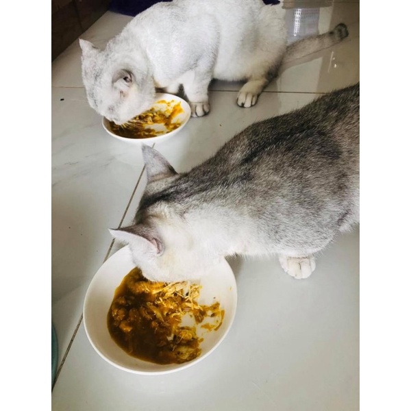 Pate tươi dinh dưỡng cho thú cưng Việt