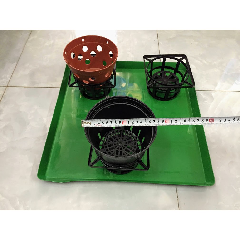 Combo 5 khay xanh 50-50-3cm đựng nước trồng lan ươm giống Và lót chuồng thú cưng