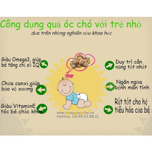 500 GRAM Hạt Óc Chó Vàng Mỹ (NGUYÊN HẠT SẤY CHÍN)