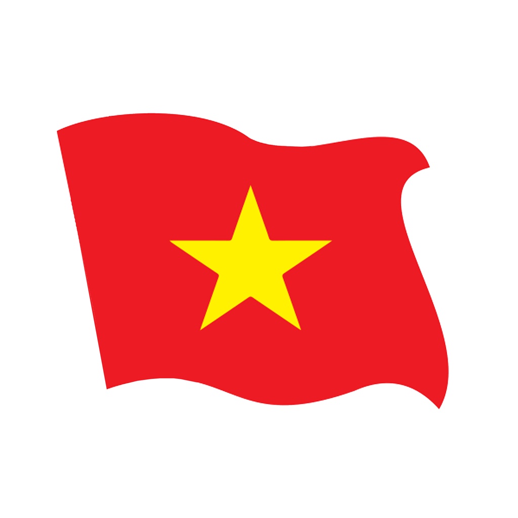 Cờ Tổ quốc vẫy- Cờ Việt Nam cầm tay có cán, cờ Việt Nam hình tam giác, chữ nhật