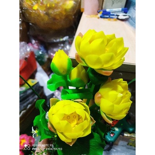 Chậu Sen đất sét ~30cm thành phẩm luôn chậu