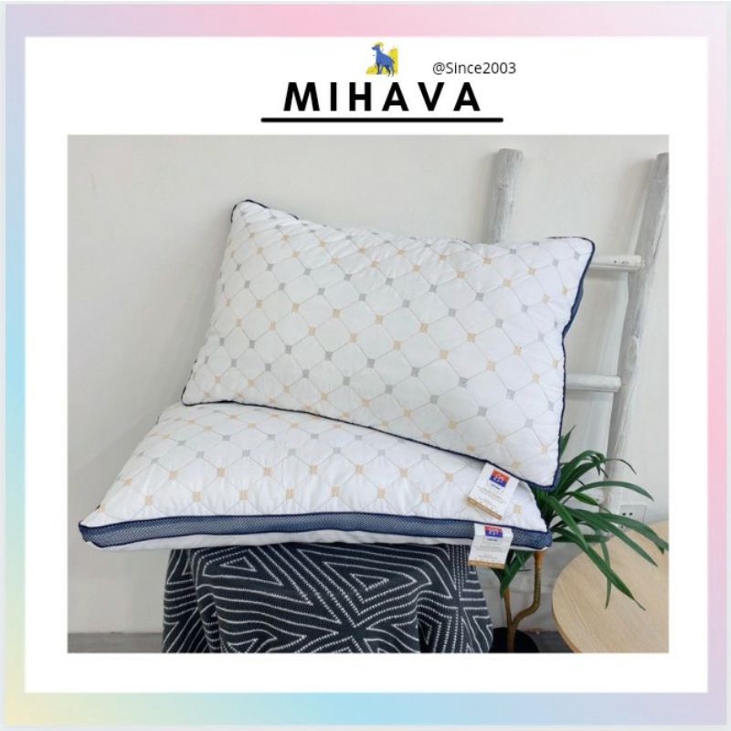 Đôi Ruột Gối Cao Cấp Nhập Khẩu Kích Thước 48*75cm