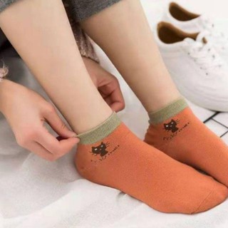 Combo 10 Đôi Tất Nữ Hình Mèo Cute