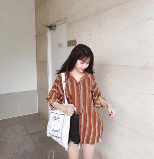 Sơ mi kẻ sọc hai màu