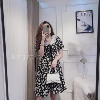 Đầm cúc họa mi cổ voan bèo