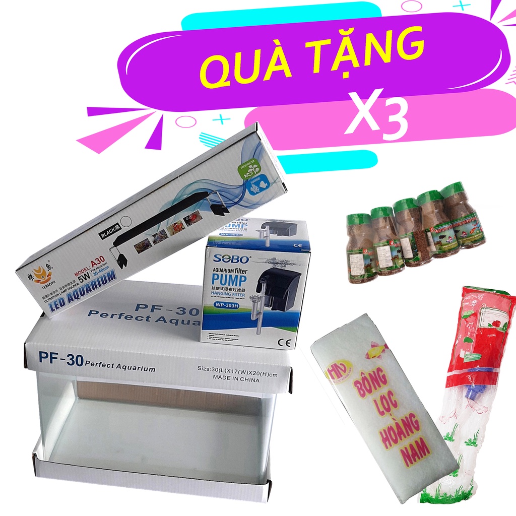 Bể cá mini kính đúc 30x17x20 4mm