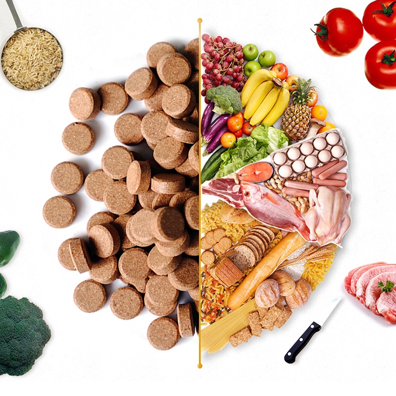 Thức ăn dán BioZym cao cấp - Cám viên dán cho cá cảnh - cám dán viên tảo- viên thịt-  thức ăn dán thủy sinh - shopleo