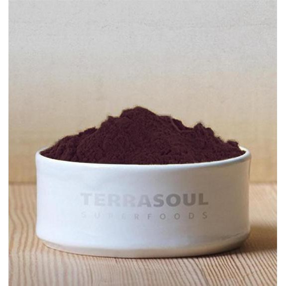 Bột quả Cơm Cháy hữu cơ (Elderberry Powder) - Terrasoul - 113g