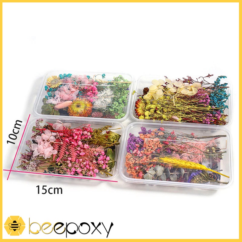 Hoa khô Vĩnh Cửu - Set hỗn hợp trên 10 loại hoa