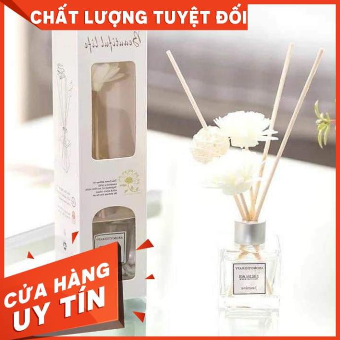 TINH DẦU NƯỚC HOA ĐỂ PHÒNG-HOA LỤA TINH TẾ [Siêu khuyến mại] | BigBuy360 - bigbuy360.vn