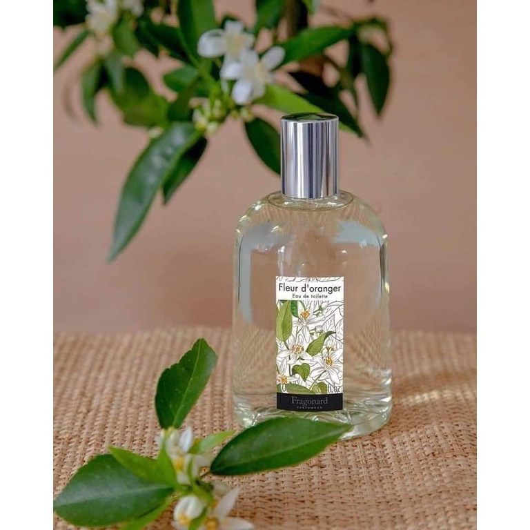 Nước hoa Fragonard hương bưởi, hương hoa hồng