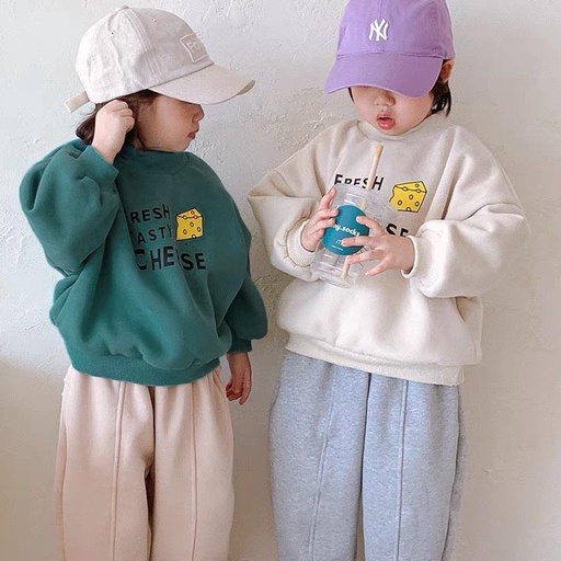 Áo hoodie dài tay, áo nỉ cho bé trai và bé gái phong cách Hàn Quốc_A19