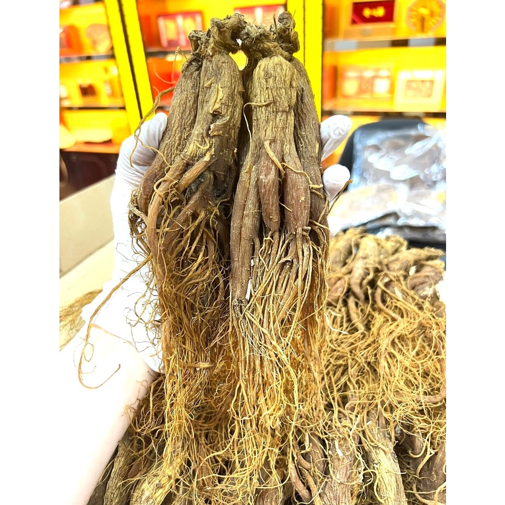 100gr Hồng Sâm Trường Bạch