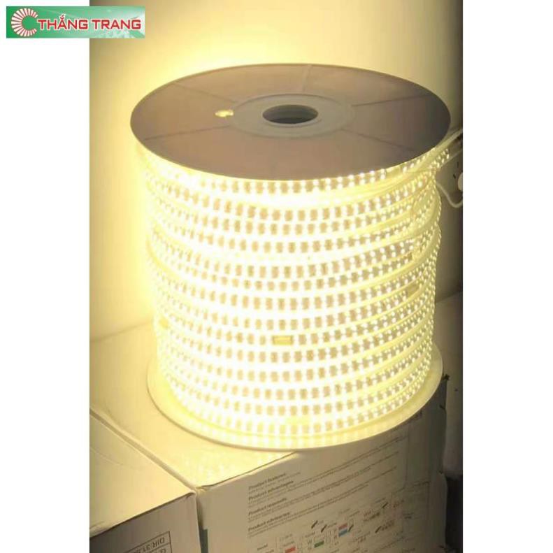 Đèn Led dây đôi 2835 , ống nhựa 220V 20m trở lên Tặng Nguồn