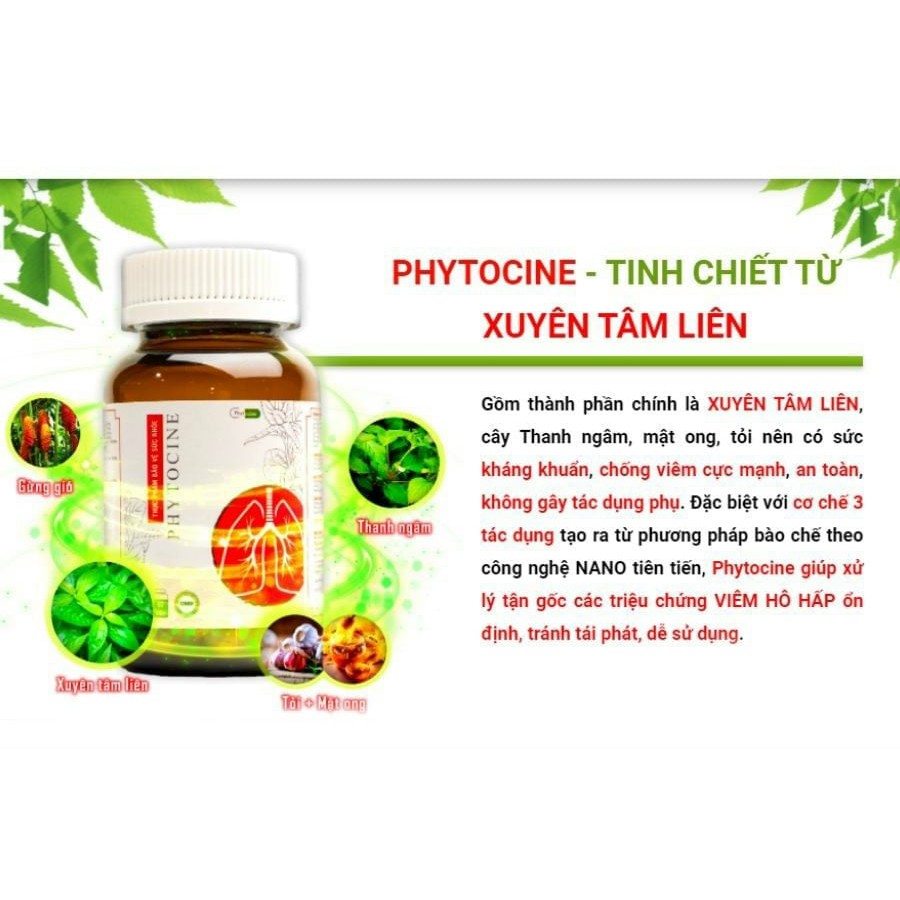 PHYTOCINE - Chiết xuất từ XUYÊN TÂM LIÊN hỗ trợ các bệnh đường hô hấp