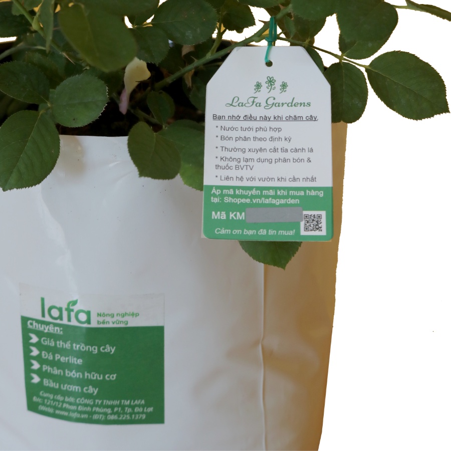 Bộ túi trồng cây tiện lợi MAGIC BAG LAFA 5 trong 1 trồng rau, trồng hoa, cây cảnh tiện lợi cho hộ gia đình nhà phố