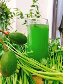 Bột Cần Tây HoGi