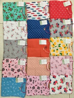 Bộ cartet bozip